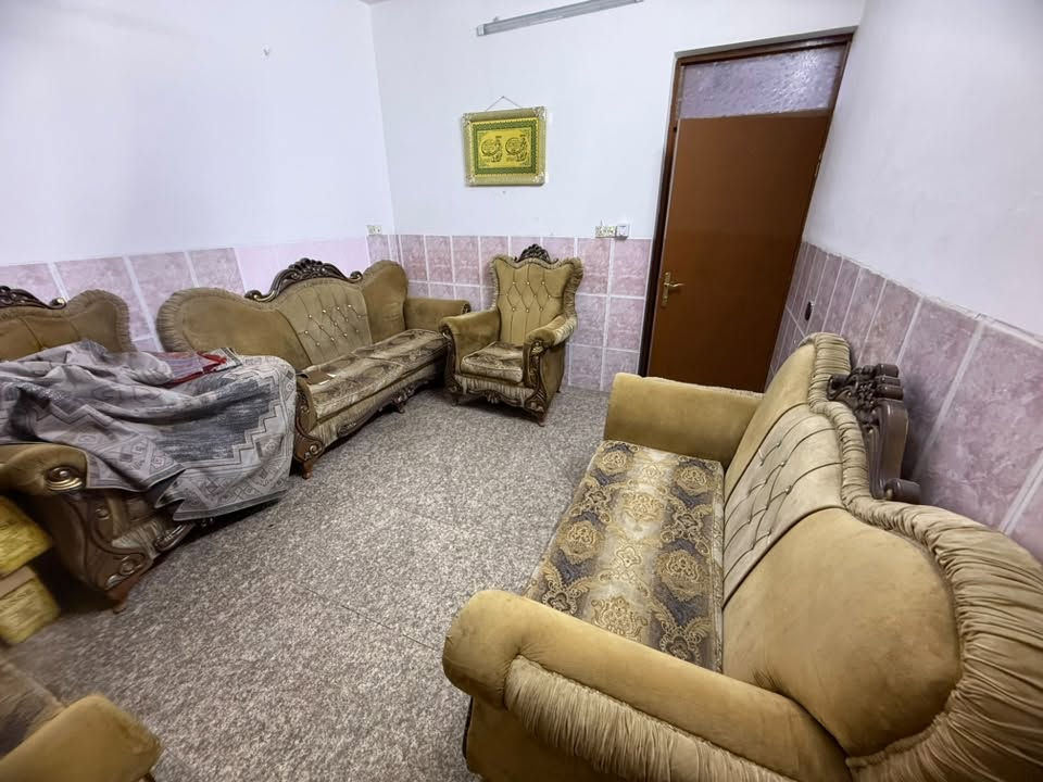 تخم نصيف جداً جداً سعر مناسب مكان بغداد ***********
