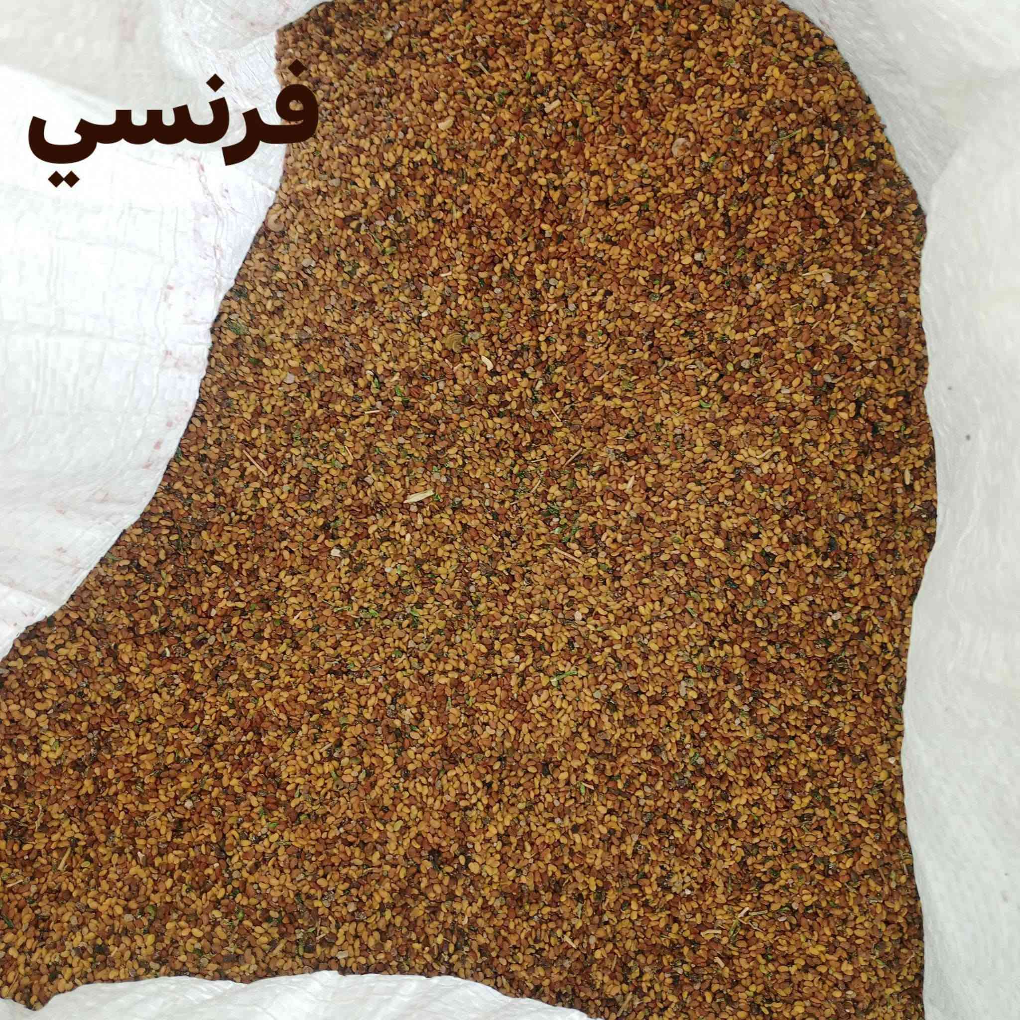 جت همداني • فرنسي • توصيل
