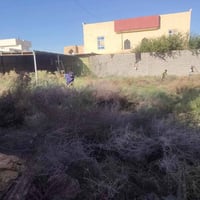 كادر جاهز • تنضيف بيوت • معدات جاهزة