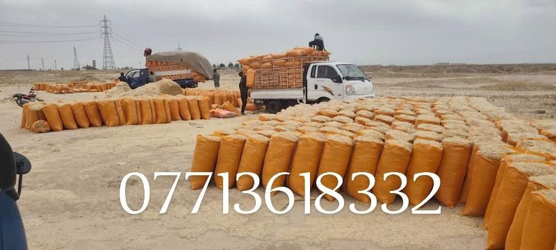 السلام عليكم يوجد تبن فول الزوج 2500 بالمكان يوجد توصيل جميع محافظة العراق والكميه مفتوحه الاتصال على الرقم ***********/***********
