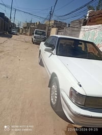 شيزر • عضم للبيع • موديل ٩١