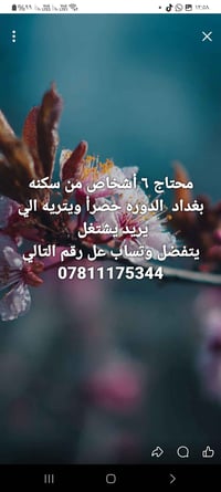 لا توجد تفاصيل  نص مكتوب في الصور: - محتاج ٦ أشخاص من سكنه بغداد الدور...