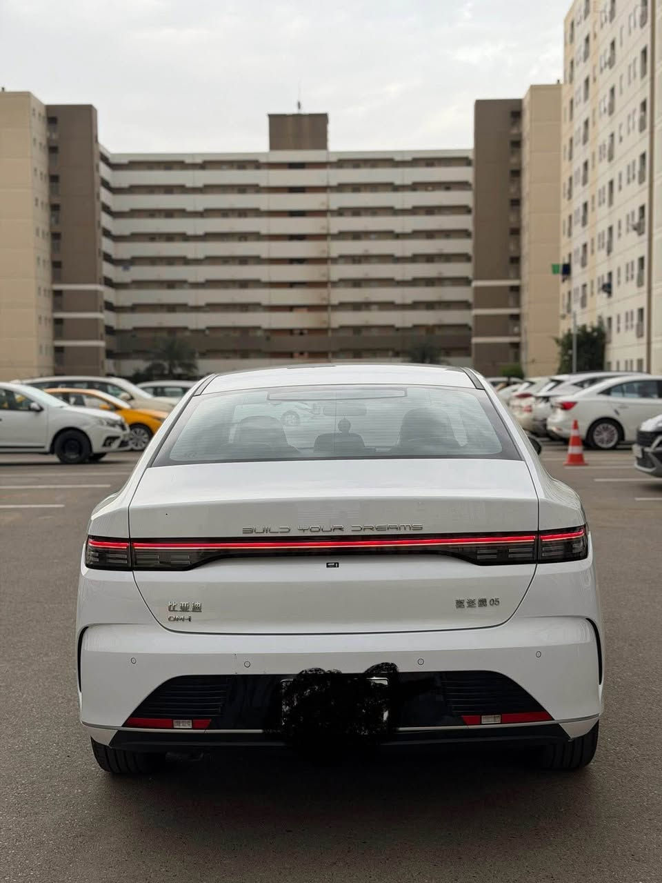 2025
فول
دعامي بو دعامي بشرت
12 هزار رويشتوة
*********** كركوك, العراق

