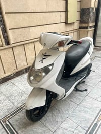 سكنس فحل • نوزل خطين • نضيفه