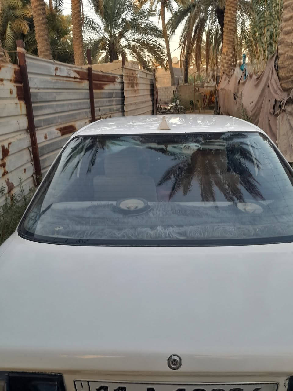 كورلة عضم للبيع نضيفة خيرمن الله بسمي هزة جديدة ألسعر ٣٨ وبيهة مجال رقم بغدا.  ***********
