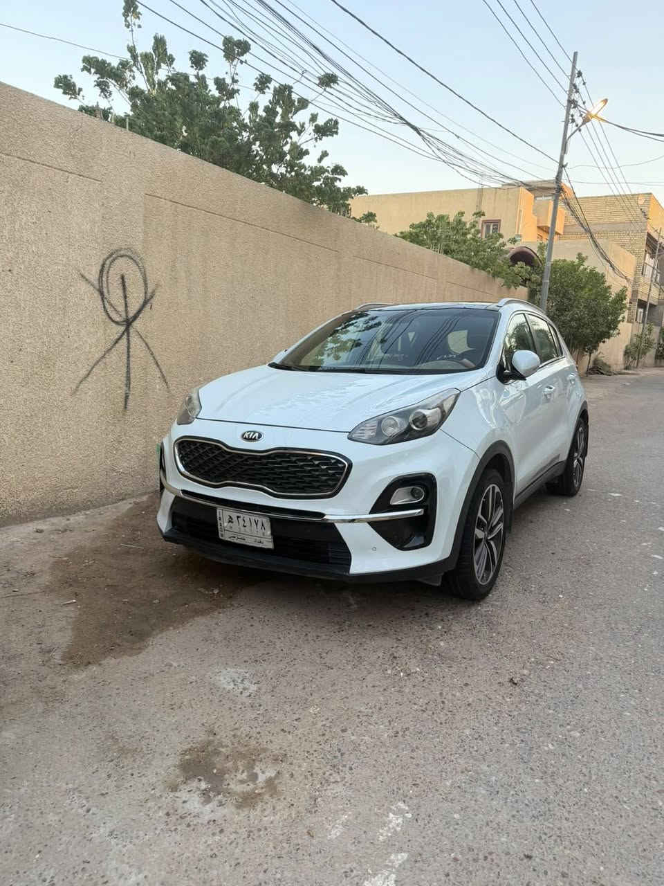 سبورتج ٢٠١٩ • ويل ١٩ • بانوراما