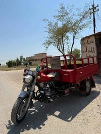 ستوته • نضيفه • سيف سعد