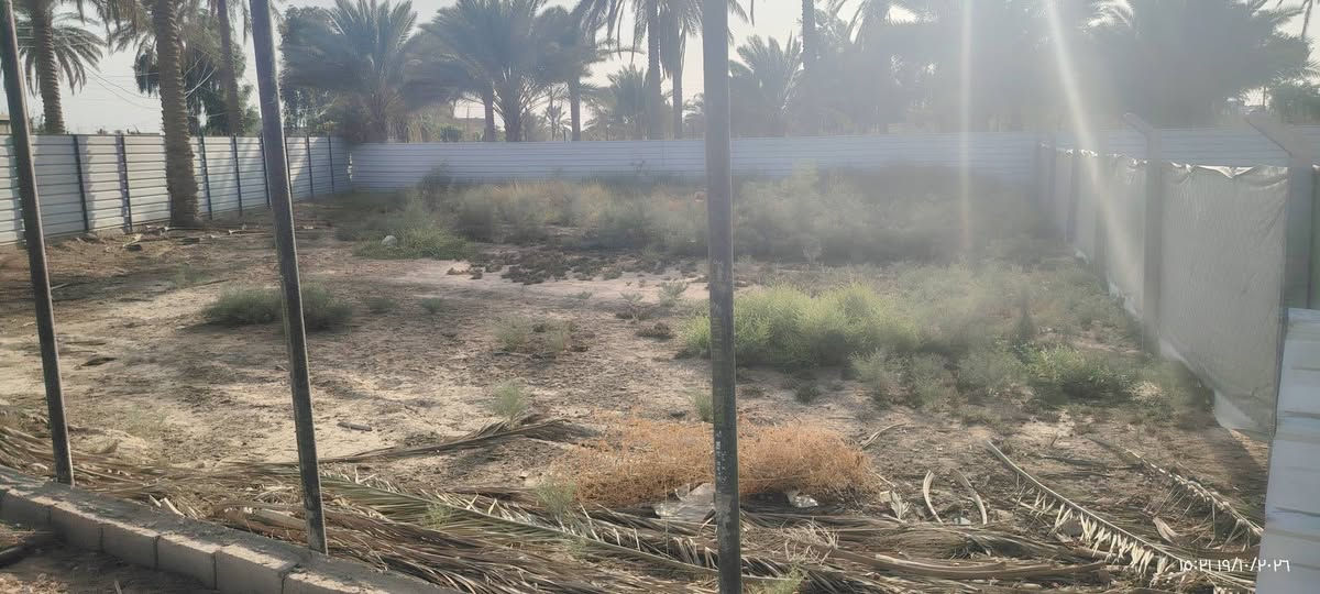 البو شناوه • شارع طالب الغاوي • ٥٦٠م