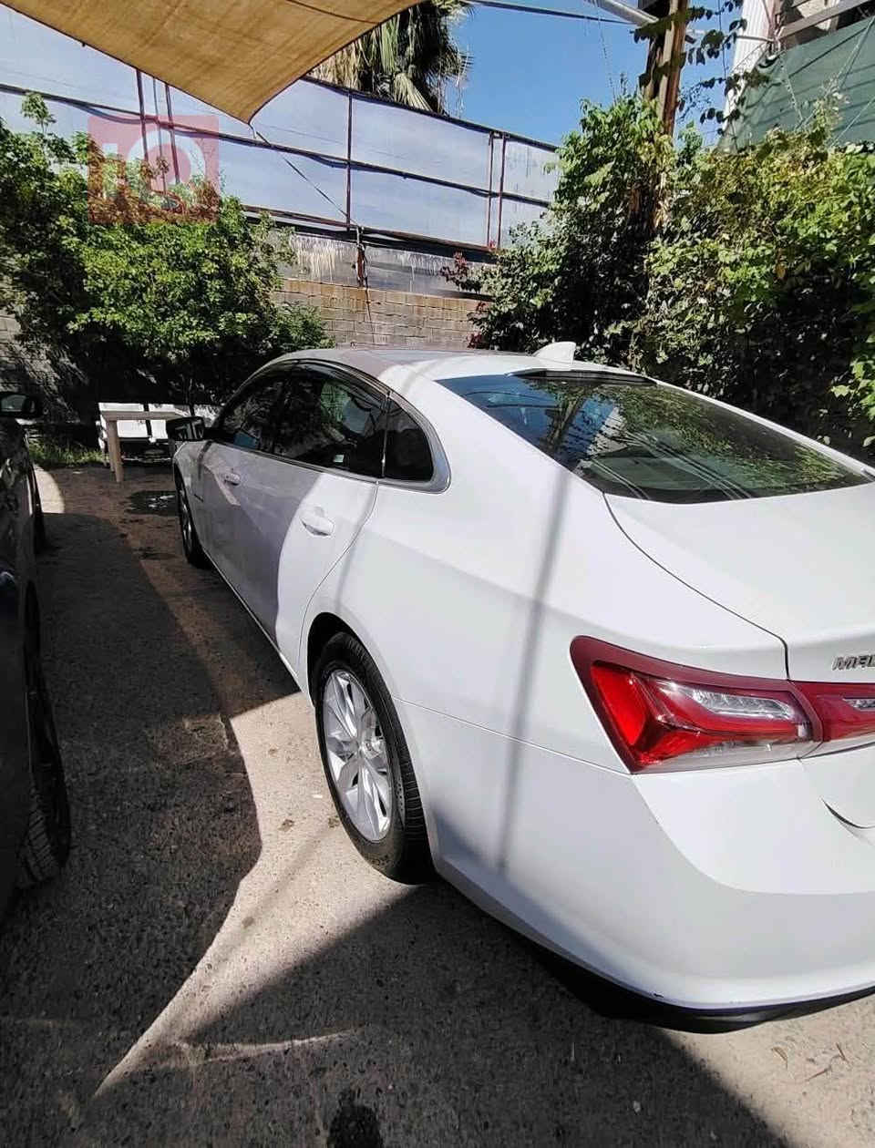 السلام عليكم ماليبو 2023 للبيع 

🚘 Chevrolet Malibu 2023 | LT | رقم أربيل

🤍 لون أبيض — داخل شامواه
⚡ محرك 1.5 Turbo
📍 ماشية فقط 38 ألف كم
🔑 بصمة + مقاعد كهربائية
📺 شاشة كبيرة
📡 رادار + مستشعر وقوف
📷 كاميرا خلفية + حساسات
❄️🔥 تدفئة وتبريد مقاعد

🛠️ ضررها موضح بالسونار، ورصعات خفيفة.

✨ السيارة نضيفة جداً، وبالواقع أجمل من الصور بهواي 

السعر : 130 ورقة  وبيها مجال بسيط للشراي 🤍

📞 للاستفسار واتساب/اتصال:- 
***********
