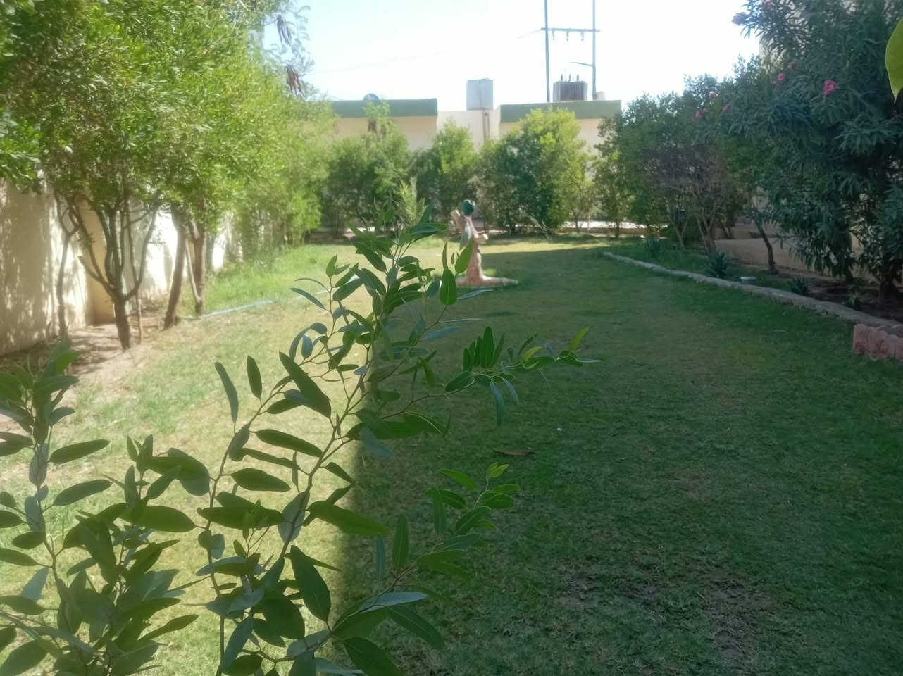 اخوان يوجد كادر لحش الحدايق والديكورات وسعار مناسبة موجود تكريت قادسية الاتصار على الرقم الارقام *********** ***********
