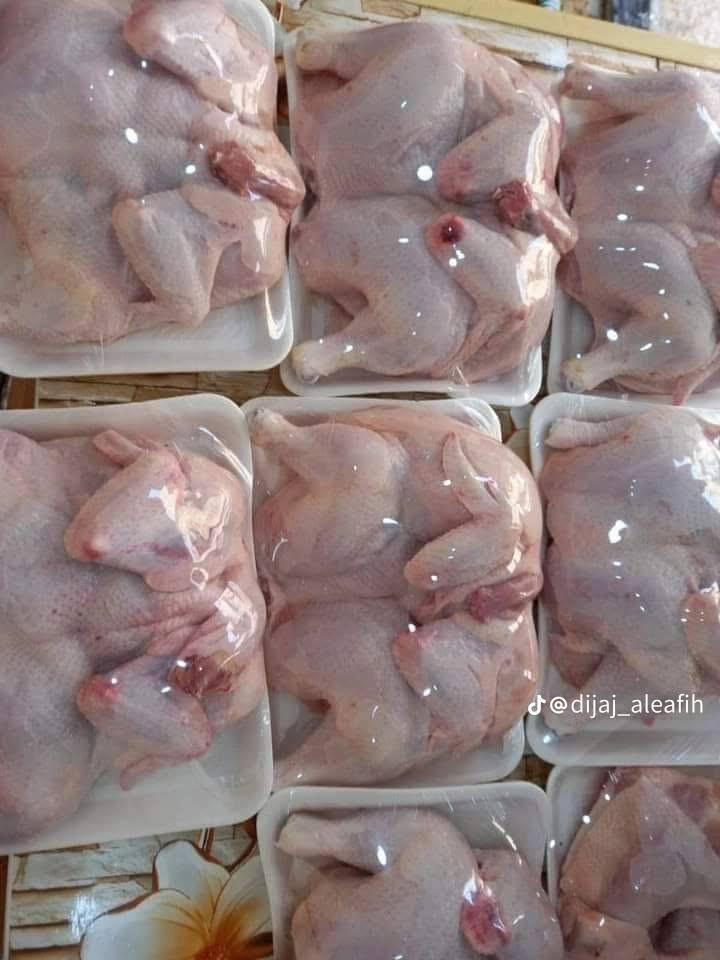 دجاج ذبح طازج • تجهيز مناسبات • شوي فحم