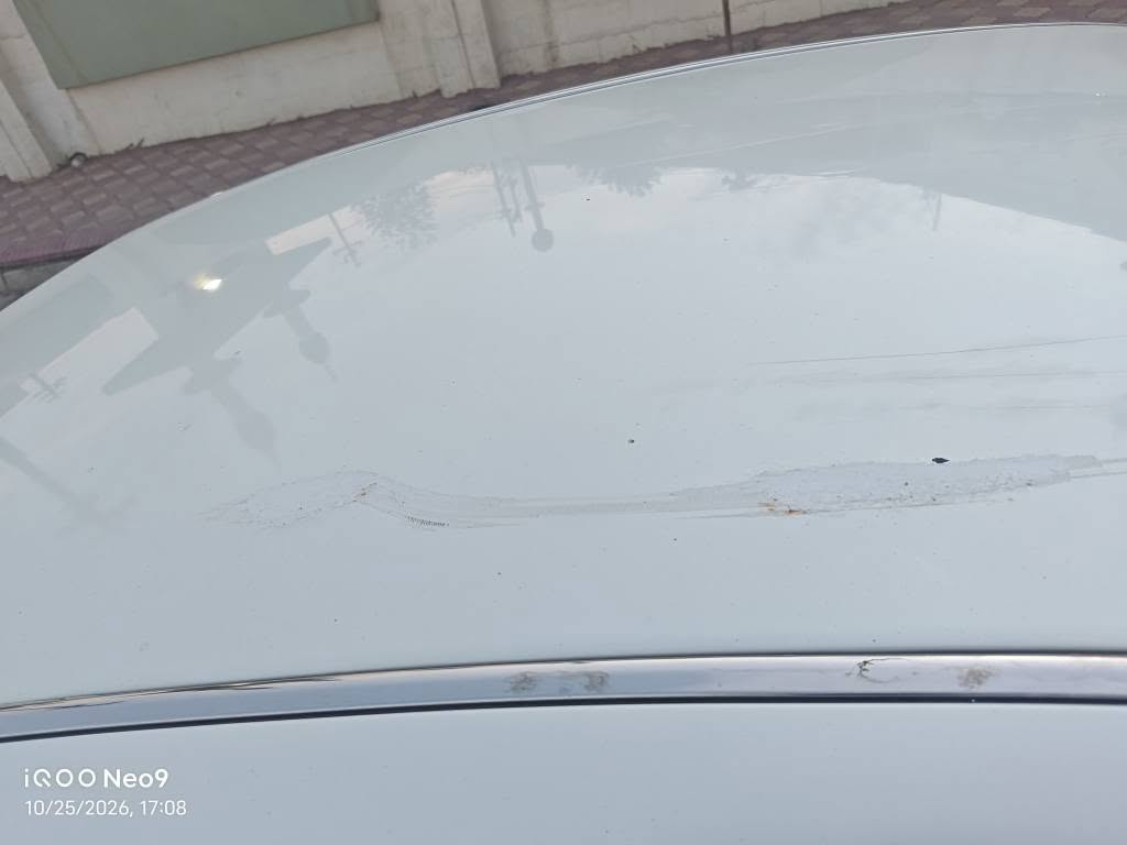 ٢٠٠٤ • بدون كود • السليمانية