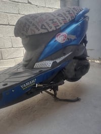 ثعلب • نوزل • بلادية