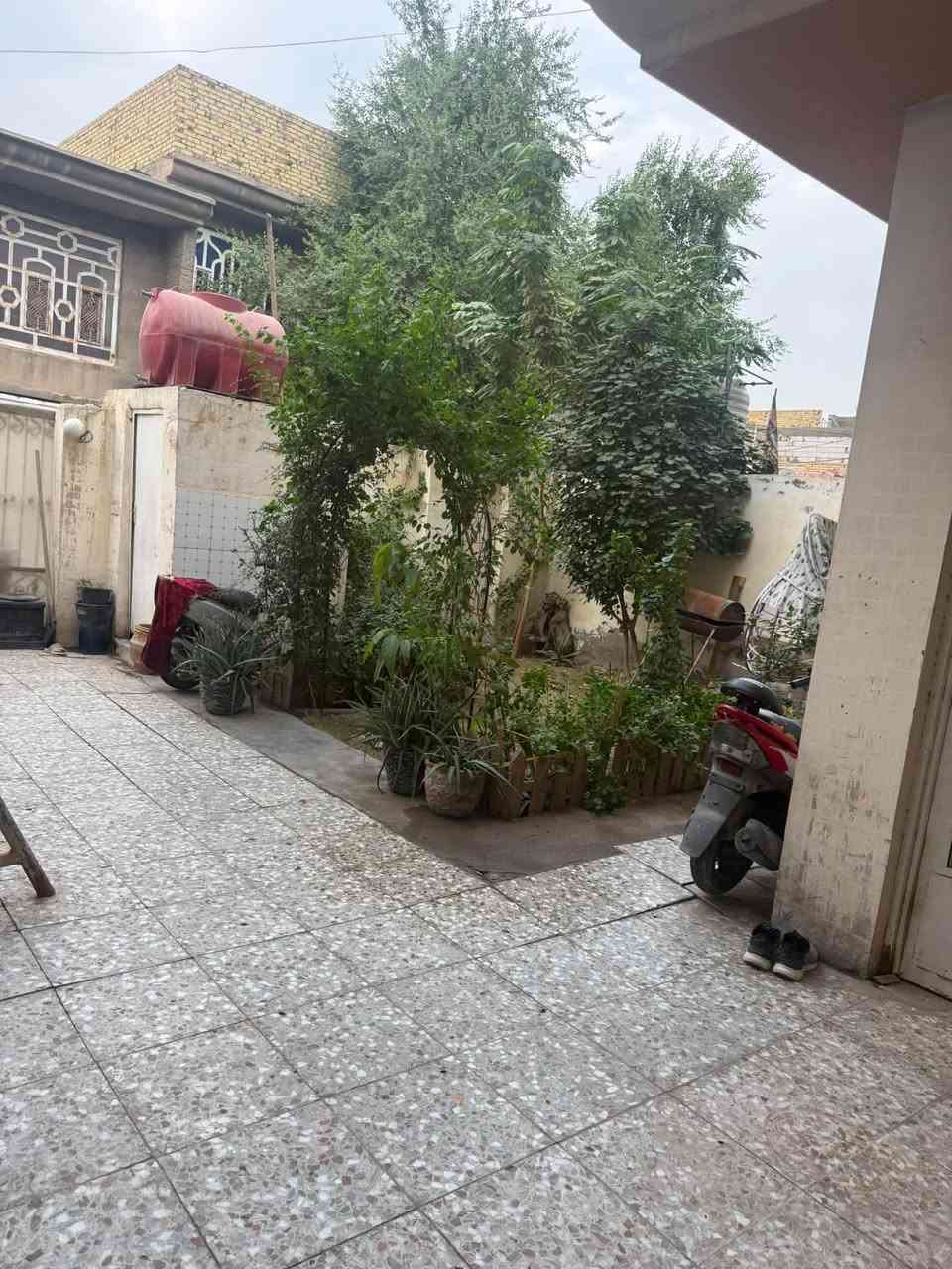 ٢٥٠م • حديقه • حمزه دلي