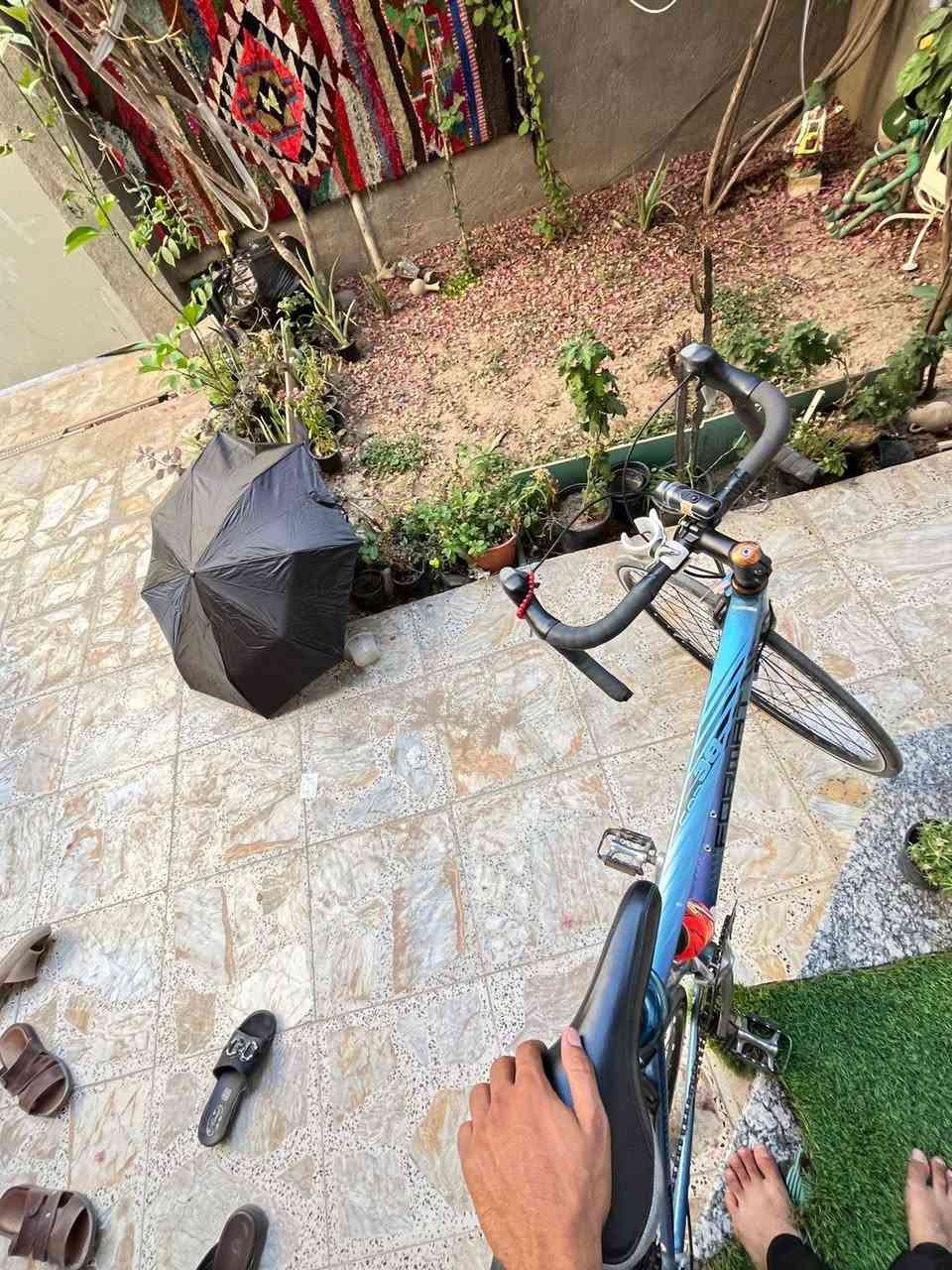 فورمات • سباق • شيمانو