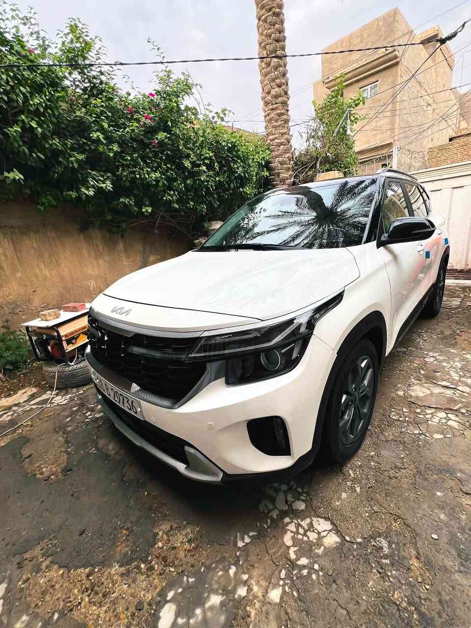 سيلتوز • ٢٠٢٤ • رقم بابل