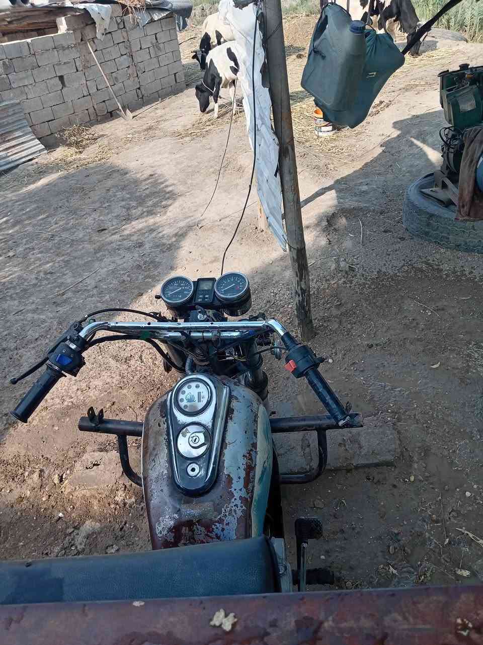 ستوته جمره • ٢٠١٤ • اوراق