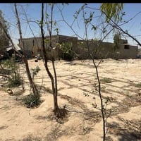 عمود ١٧٣ • طريق يا علي • ١٠٠م