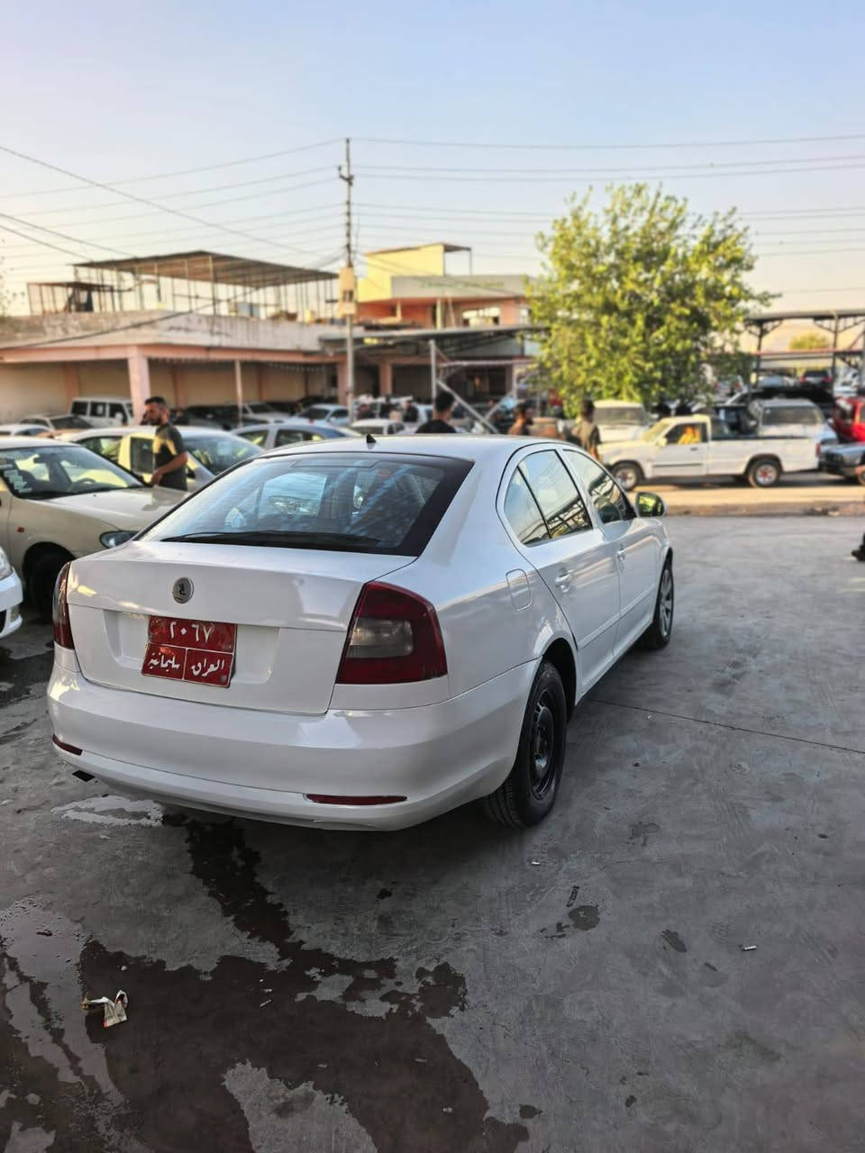شکۆدا
2011
سعر57
پیشودوای کە پسە دە عمی نییە 
سە نە وی تا 2031 تازە یە 
گیرو مە کینە بە شەرت 
هە موو گیانی لۆکە 
دینار مە سرەفی تیانییە
ژ.م***********
ژ.م*********** السليمانية, العراق
