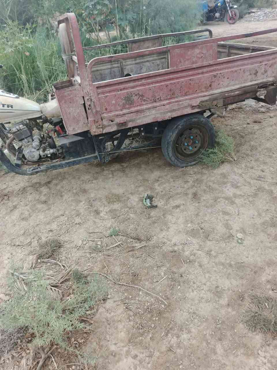 ستوته • ٢٠١٠ • دبلات جدد