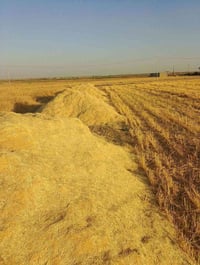 ٥عرباين تبن • دبل تاير • نضيف