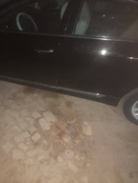 كادنزه • ٢٠١١ • رقم ميسان