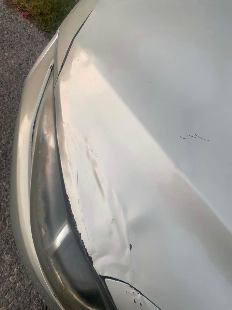 هيواندا النترا ٢٠١٧ 
لون ذهبي بدون صبغ  بس شبر من البونيد معوج مبين بالصورة
ماشية ٨١ الف ميل 
هيوندا النترا ٢٠١٧ 
ره نگي ذهبي  به بي بوياخ ته نيا يه ك بست قوپاوه وه كو له وينه كه دياره 
٨١ هه زار رويشتووه
*********** أربيل, العراق

