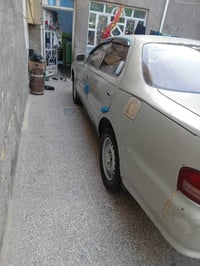 كرسته نفخ • ٩٣ • نجف