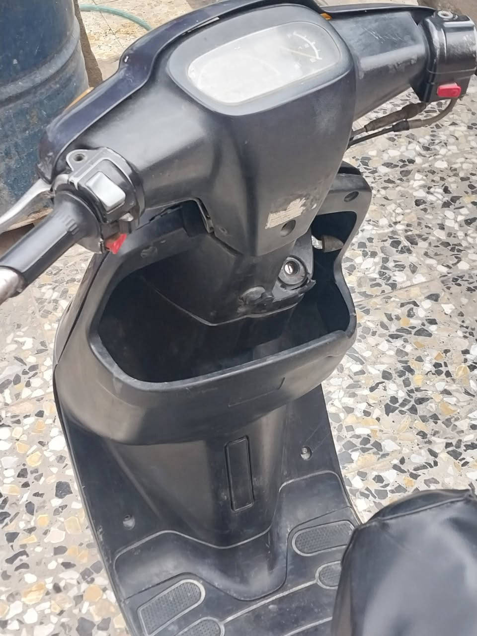 بطة