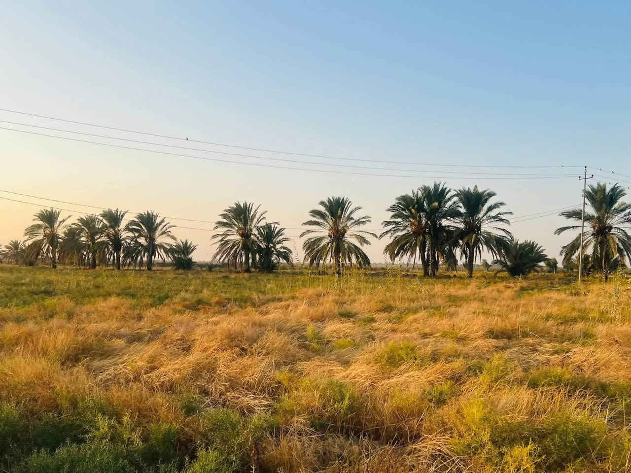 عروض اليوم بلاش
سلام عليكم ارض طابو سند 25 للبيع المساحه30  دونم سند مستقل بأسم شخص  يباع جزء منهه  الارض مكانه حلوه يوجد فيه كهرباء+ماء وكافّة الخدمات تصلح مجمع سكني او شاليات العنوان طريق كربله نجف طريق مفرك الكفل عمود 350 ام نعجه 
استفسار.   ‭***********

