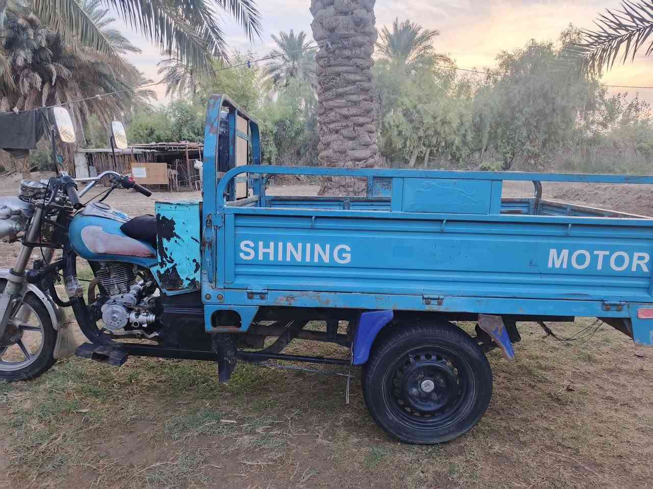 ستوته • نضافة • اوراق كاملة