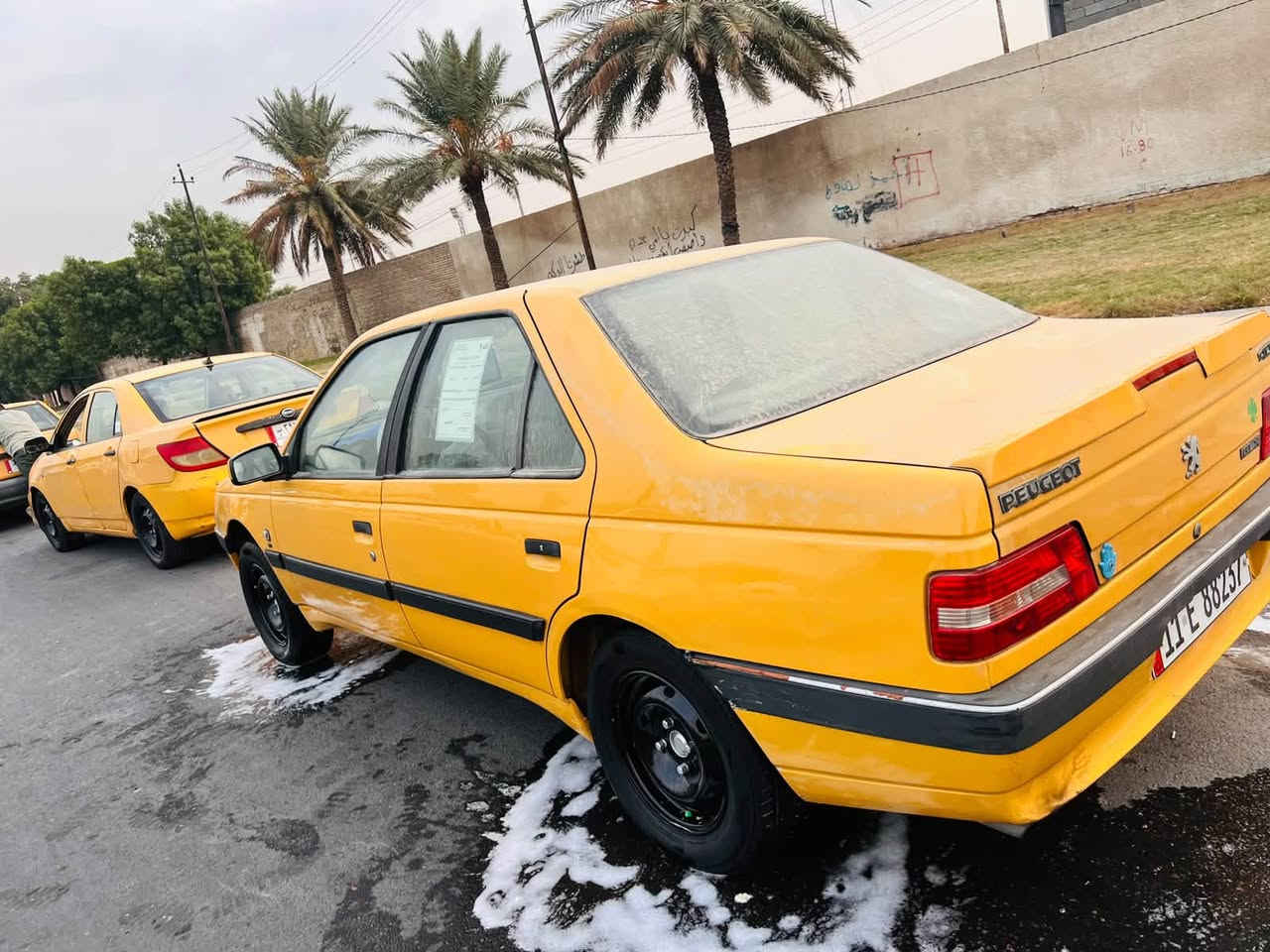 لميس • ٢٠١٣ • الامين الثانيه