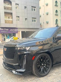 سكاليد • ٢٠٢٤ • شاص طويل