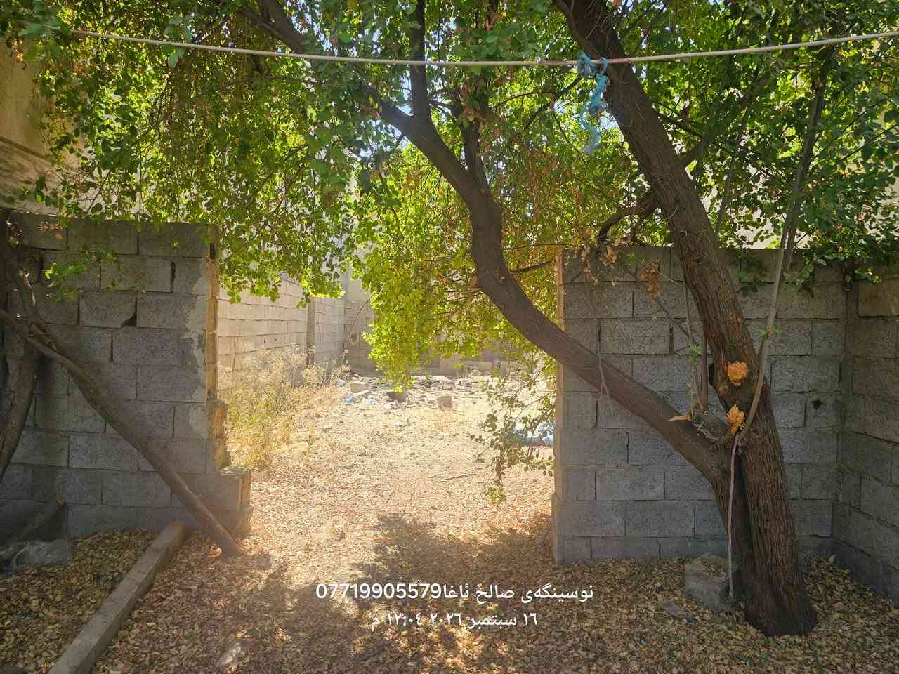 ...﷽ ...
بسم لله الرحمن الرحیم 

 ئەم جارە بە پارچە عەرزیکی  سەکەنی  ناو مالەکان هاتینەوە خزمتان 
هەردو شانی پەشتی مالە  کامل دیوار کریاوە 
بیری  ئەرتوازی تایبەت 
  ئاوی مالانی  هیە  كارباى مولدە  عامی  خوى هةية 
ناونیشان سالح ئاغا باشترین شوین نزیک جادەی قیر  🏙🏙
مساحة 120 متر
بو زانینی  نەرخ خالیک دانی 💵
زور هەرزانه  
بو کرینو فروشتنی خانو  باخ زوی 
پیوندی بەم ژمارەوە  بەکەن📢📢
***********  یوسف  ☎️☎️

https://www.facebook.com/profile.php?id=100083460334231&mibextid=ZbWKwL

نص مكتوب في الصور:
- نوسينگهى صالح ئاغا ***********
- ١٦ سبتمبر ٢٠٢٦ ١٢:٠٤ م
- نوسينگهى صالح ئاغا ***********6 سبتمبر 2026 م
- 16 سبتمبر ٢٠٢٦ م
- نوسینگەی صالح ئاغا ***********