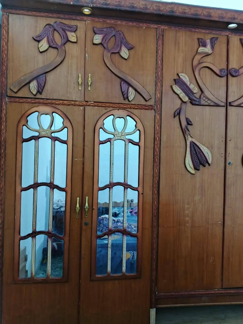 كنتور • خمس باب • رمادي