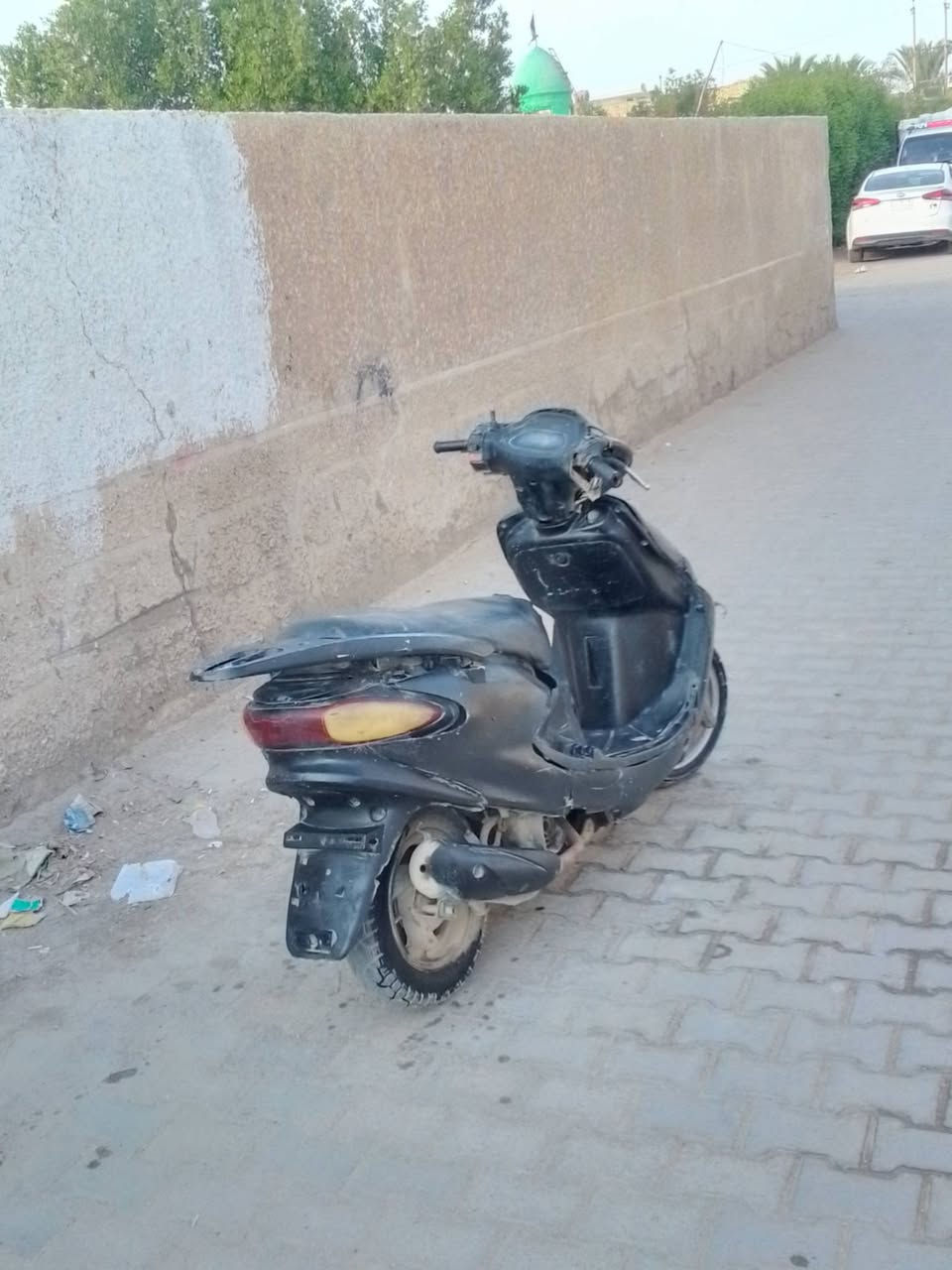 دولفين • فحل • تبخير