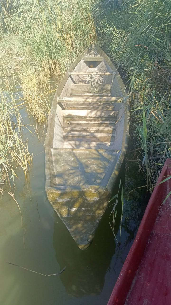***********
