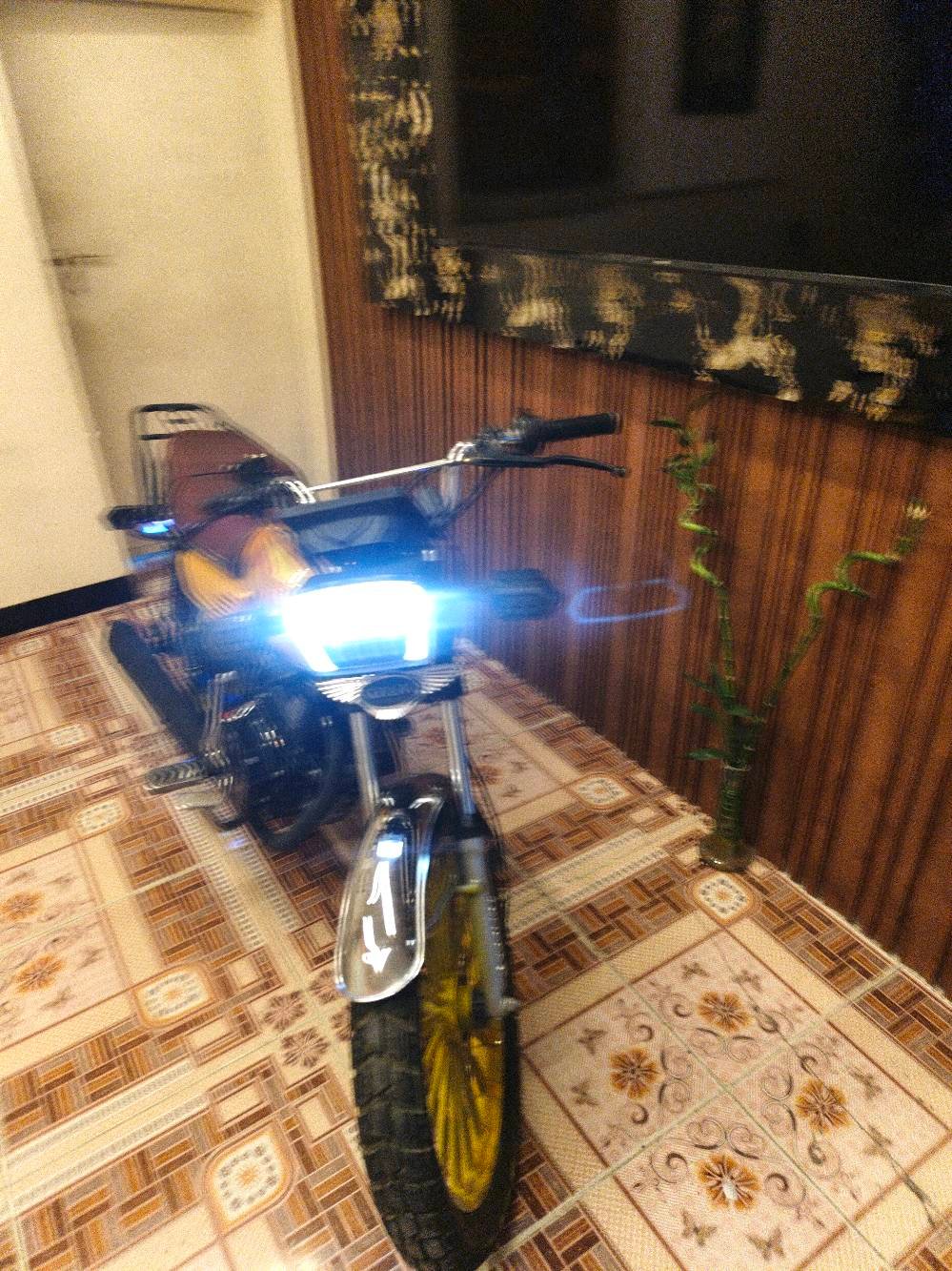 سونك • ٢٠٢٥ • كفالة