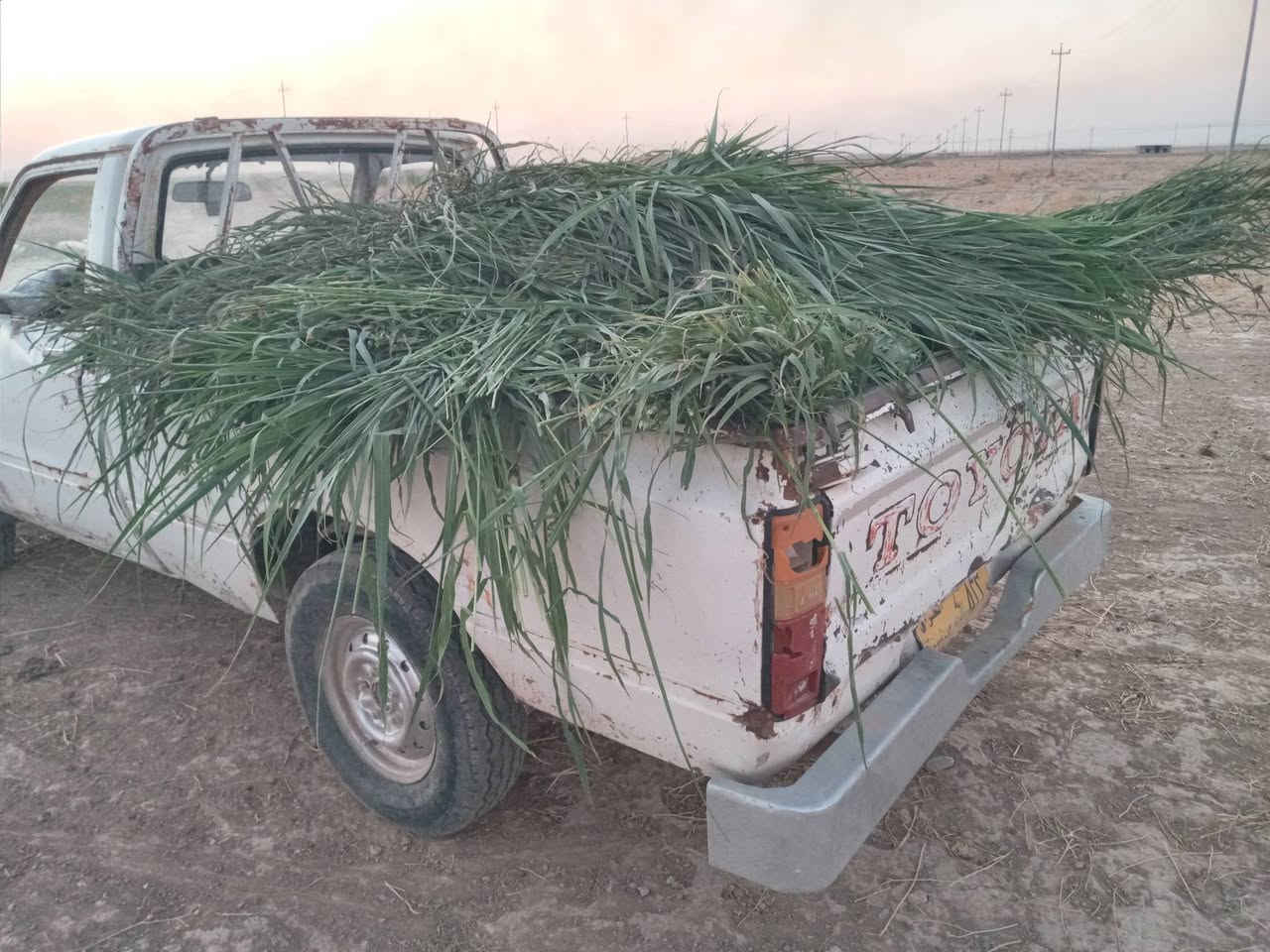 سياره ٨٠ محرك كير اكسل كلو شرط رقم التأميم بيها كوبون بانزين
الاتصال بالرقم 
***********
