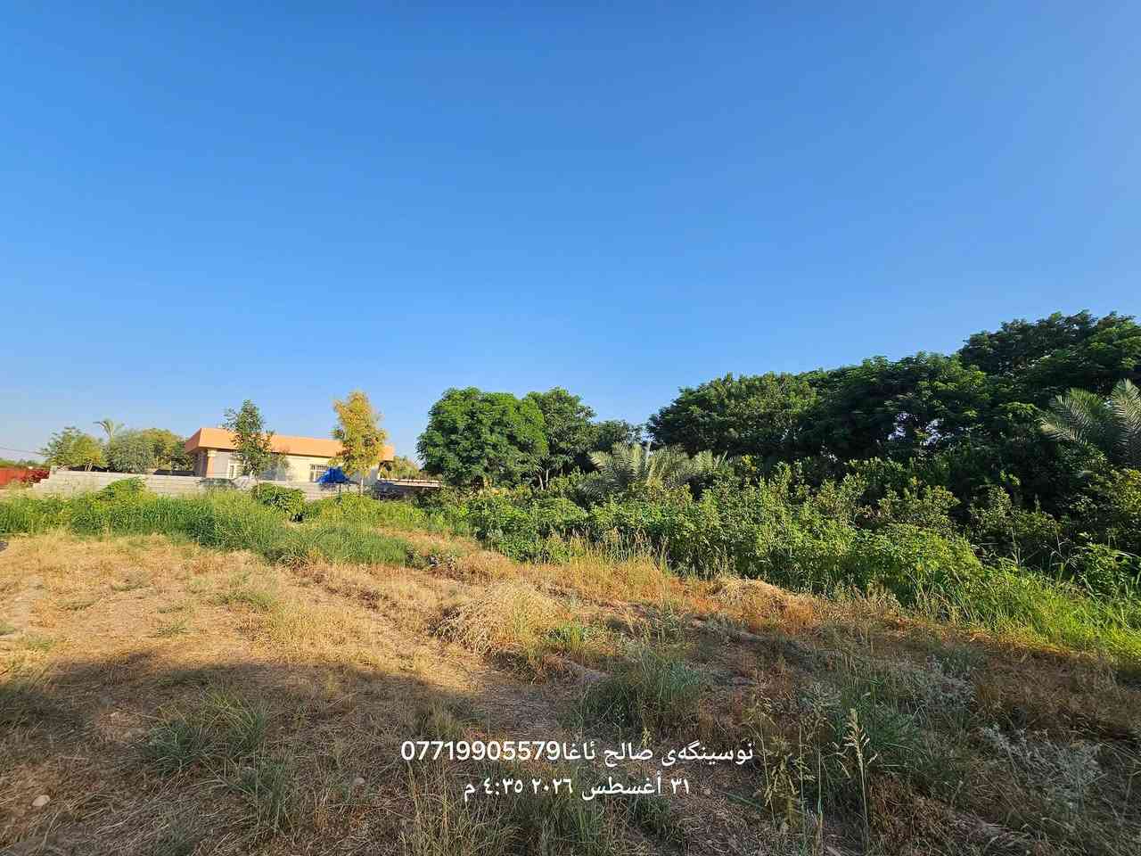 ...﷽ ...
بسم لله الرحمن الرحیم 

 ئەم جارە بە خانوو  باخیکی هەرزان  هاتینه  خزمتان  
داری بەردار 🍊🍋🍍15  سال
حدیقەو 
کارباو ئاوی  سەربەخوو
هەموی بە  بلوک   کراوە 
جیگای تایبەت  بو  پەلەورو  ئاژەل 🦃🐓🦆🐑🐐🐃
  
خانوكه پیکهاتوە 🏡
2  ژوری نوستن 
هول  ژوری  میوان 
 مەتبغ 
موشتملات  
ئاو  ئەرتوازی كارباى تايبةتى خوى هةية 
ناونیشان سالح ئاغا نەزیک  فولکەکە     🏙🏙
مساحة 5000  هزار  متر   2  دونم 
بو زانینی  نەرخ خالیک دانی 💵
بو کرینو فروشتنی خانو  باخ زوی 
پیوندی بەم ژمارەوە  بەکەن📢📢
***********  یوسف  ☎️☎️

https://www.facebook.com/profile.php?id=100083460334231&mibextid=ZbWKwL

