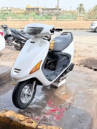 فراشه • نضيفه • تيرات جدد