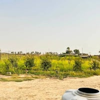 نص دونم • سند زراعي • بغداد ناحية الوحدة