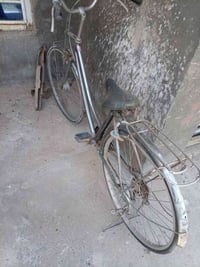 بايسكل ٢٧ • نضيف • المحاويل البعلوان