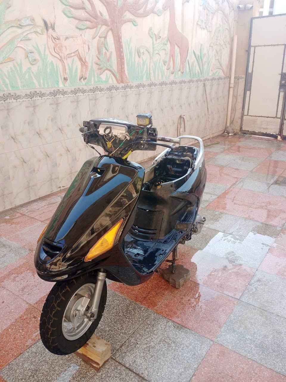 سلام عليكم للبيع فراشه نثيه كامله من كلشي دراجه ناعمه اول مره تنفتح الدراجه نقصه راجز مال سلف و الباقي كله شغال السعر 375
وبيه مجال العنون الزبير 
وتساب ***********
سلام عليكم للبيع فراشه نثيه كامله من كلشي دراجه ناعمه اول مره تنفتح الدراجه نقصه راجز مال سلف و الباقي كله شغال السعر 375
