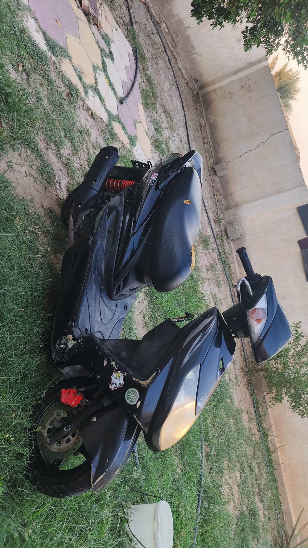 سكنس فحل • كابريتر • كفالة عامه