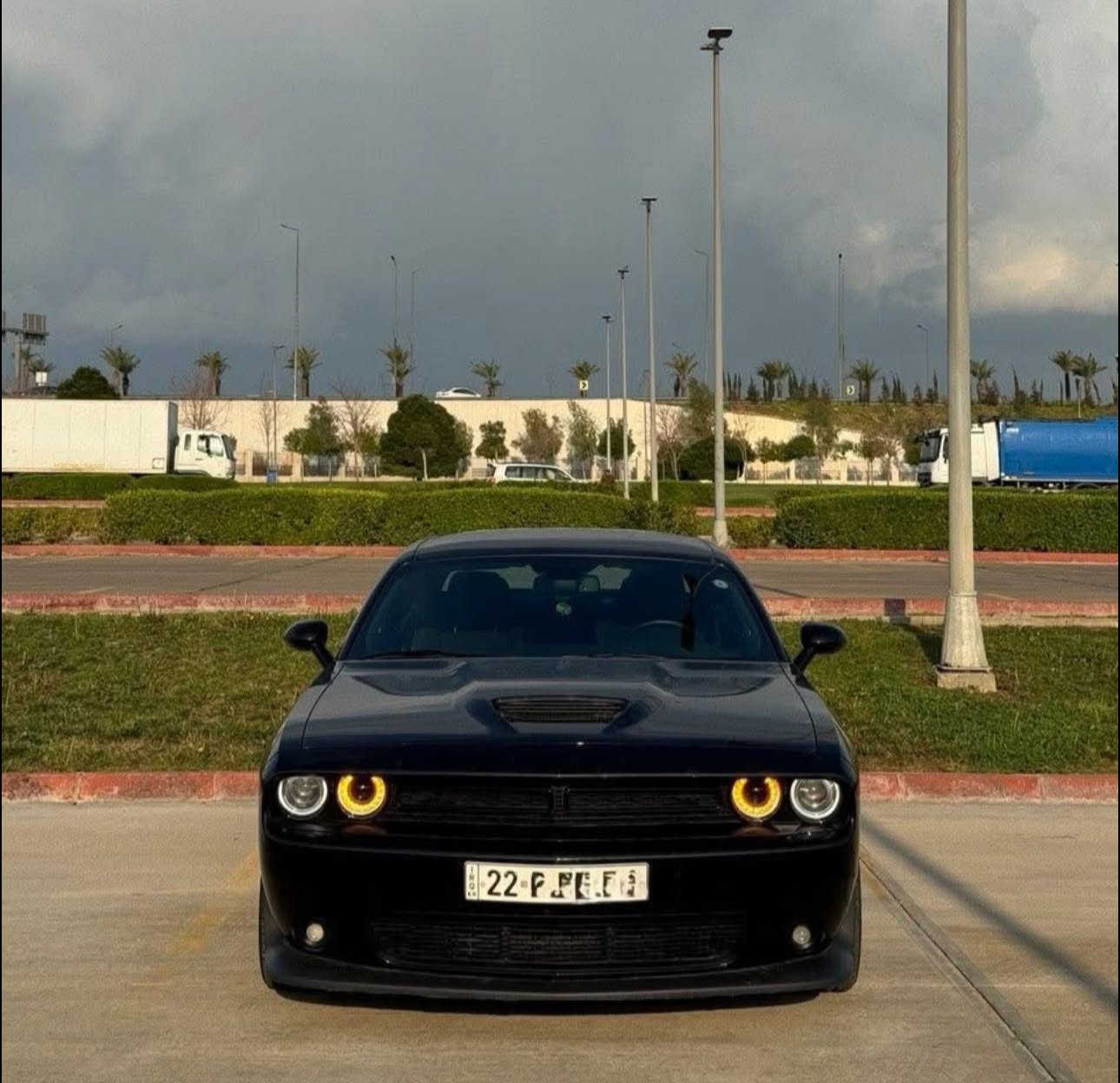 جالنجر كلين GT 2021
2021 track pack black edition
مواصفات سوبر تراك شاشة كبيرة
دبلات وبريكات تخم كامل RT بلادي سماعات ALPINE كشنات حضن
ماشية 27ميل
السيارة على وضع الشركة برغي ما مفتوح بيها
سيارة مكفولة من الدعامية للدعامية بدون حادث بدون تبديل بدون صبغ بدون بارد
السعر 256
***********
