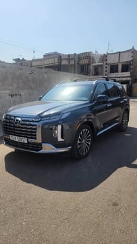 باليسايد كالليغرافي • بدون صبغ • ٢٤ الف