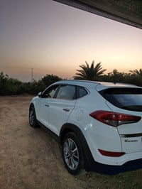 توسان خليجي • ٢٠١٨ • رقم أربيل