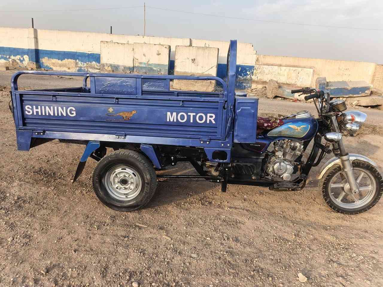 ستوته • ٢٠١٩ • اوراق اصلية