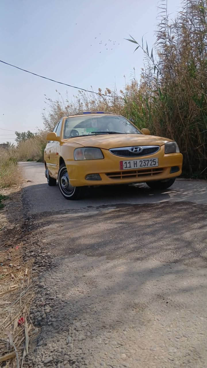 فيرنا • ٢٠١٤ • بسمايه